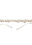Francine Belt