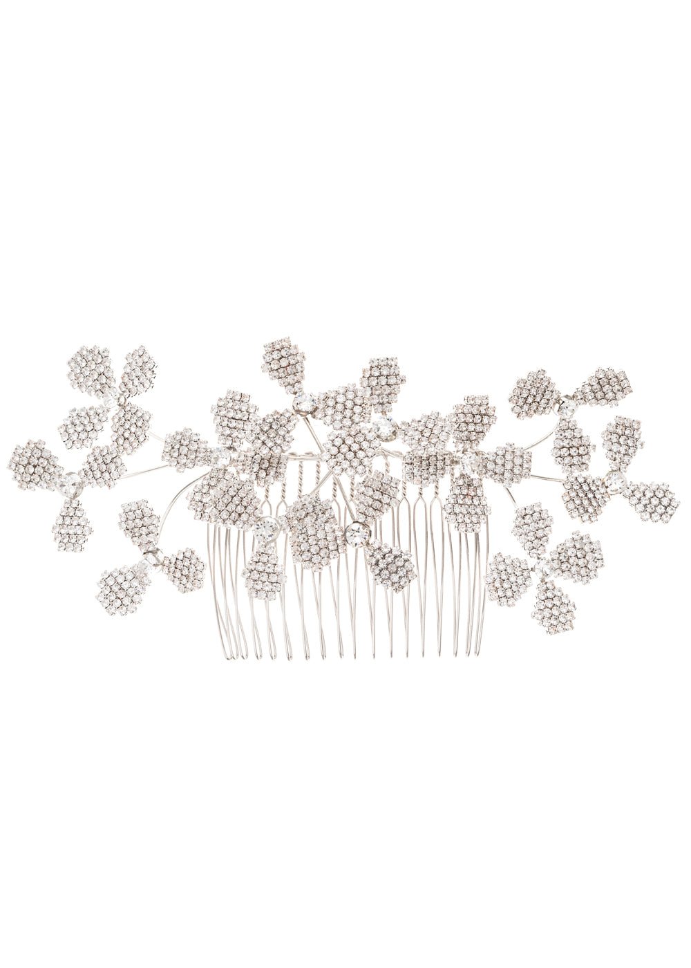 June Bud Double CombcombElizabeth Bower